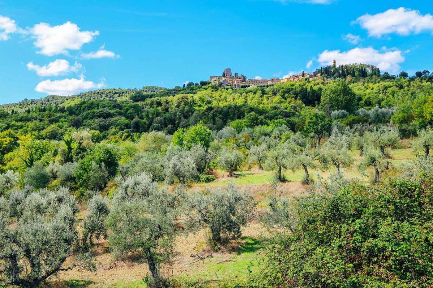 Palazzo Ninci Bed and Breakfast Civitella in Val di Chiana Esterno foto